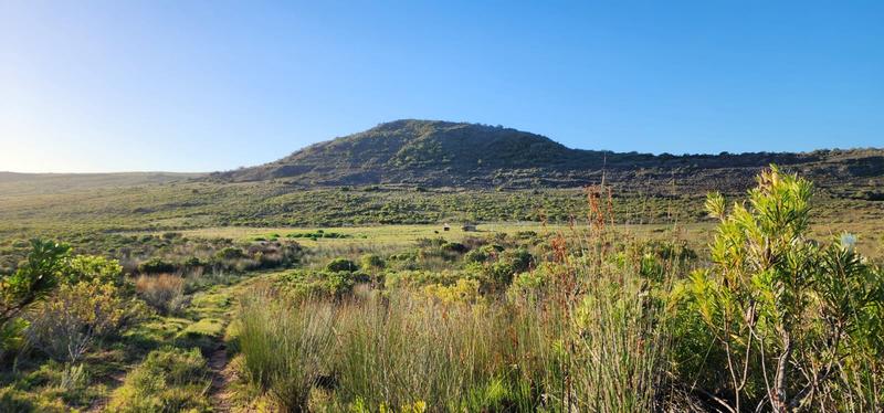 0 Bedroom Property for Sale in Albertinia Western Cape